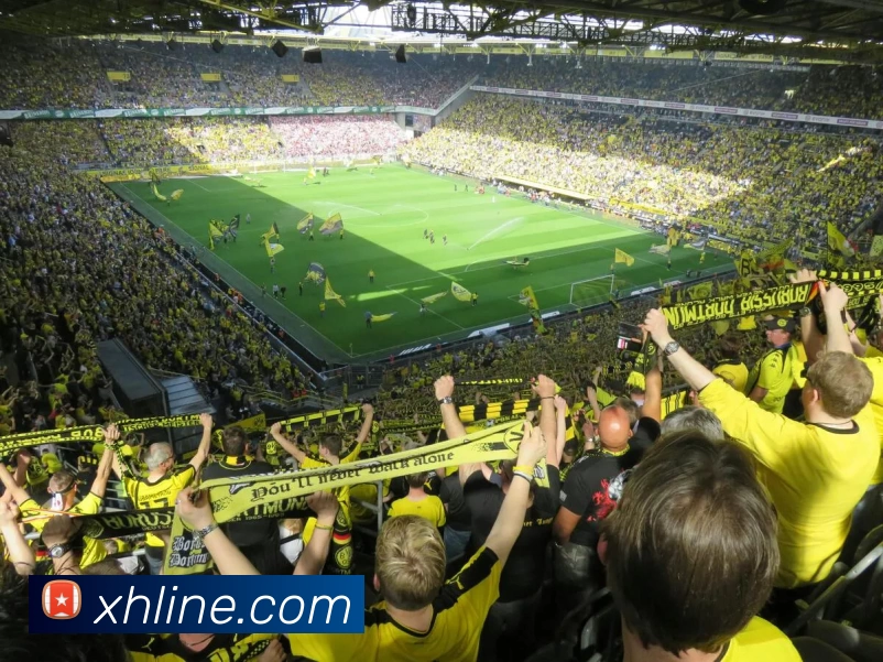 多媒体互动体验